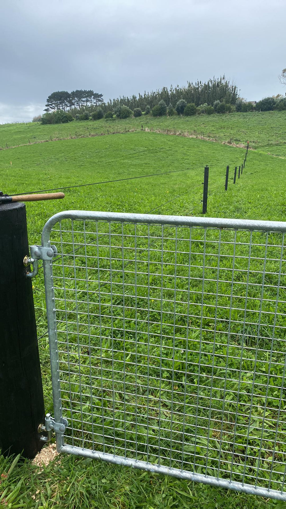 Woodshield Fence Posts